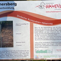 23-03-01 10-50-02 4491